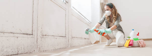 Best Asbestos and Lead Testing During Mold Inspection  in Warrenton, VA